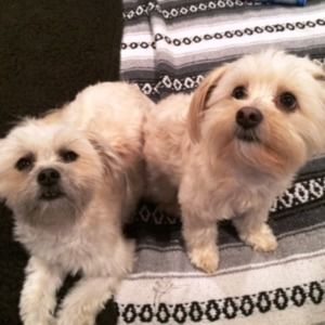 Meet your Posher, Elle